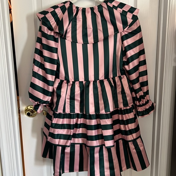 Crosby by Mollie Burch Pink and Green Striped Ruffle Tiered Striped Dress XS - Picture 6 of 6